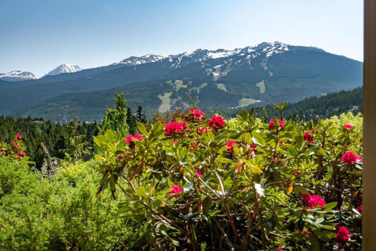 Apartamento The Ironwood On Blueberry Hill Whistler Exterior foto